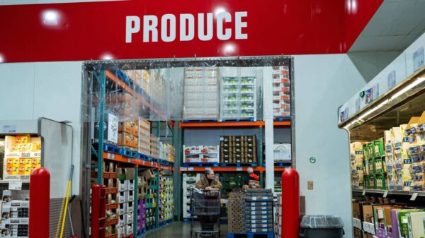 Costco is coming for Kroger, Publix, and other grocery chains