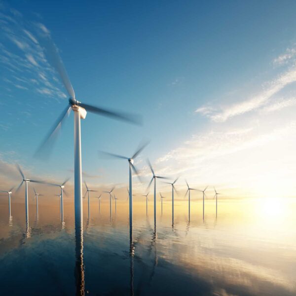 Utility, wind power